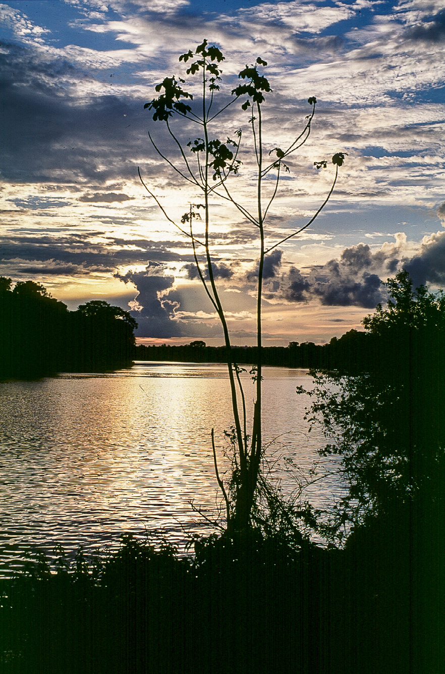 Crépuscule sur le fleuve Maroni.