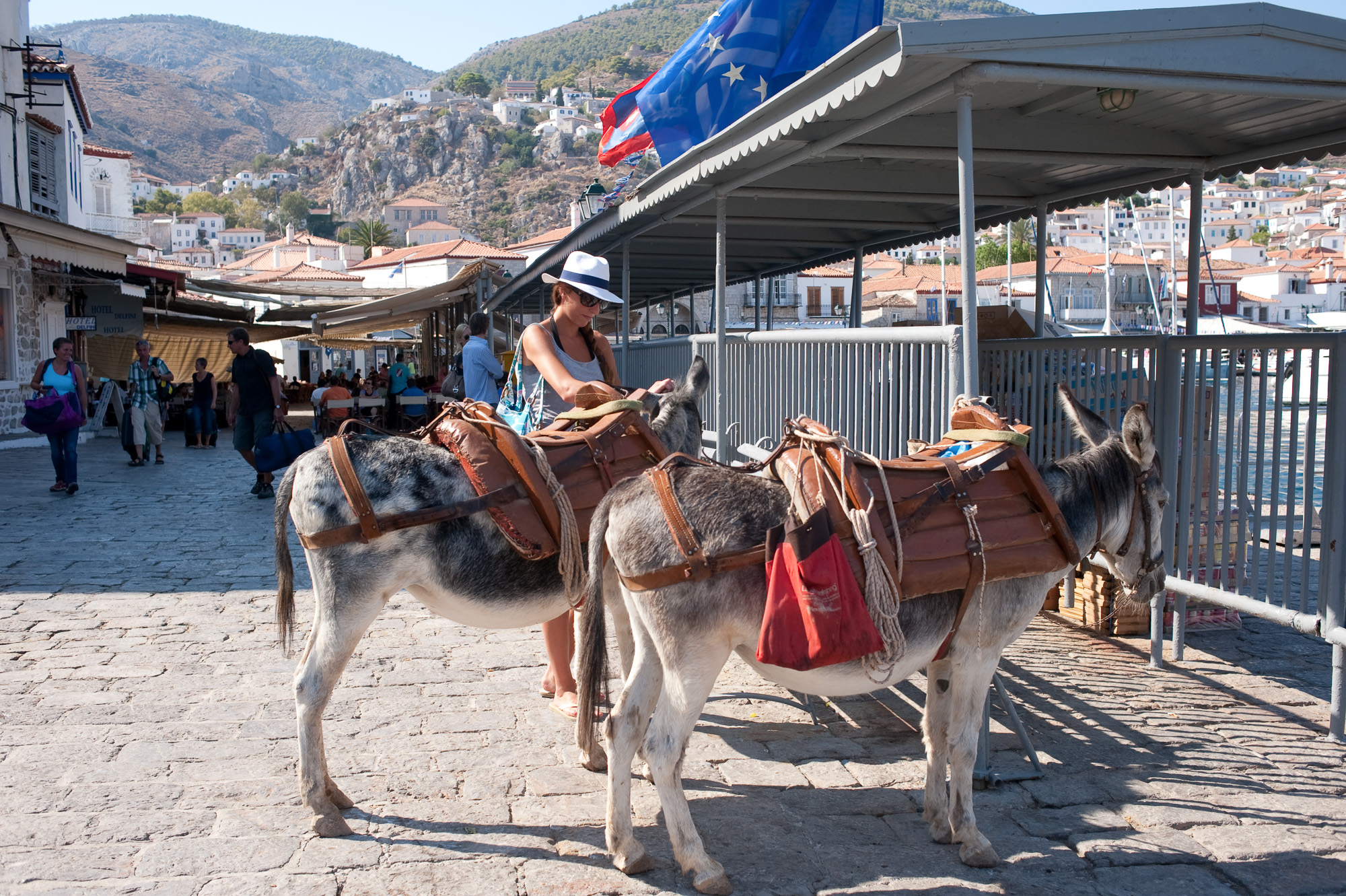 Le village d'hydra. Les mules remplacent les taxis, aussi bien pour les passagers que pour les marchandise.