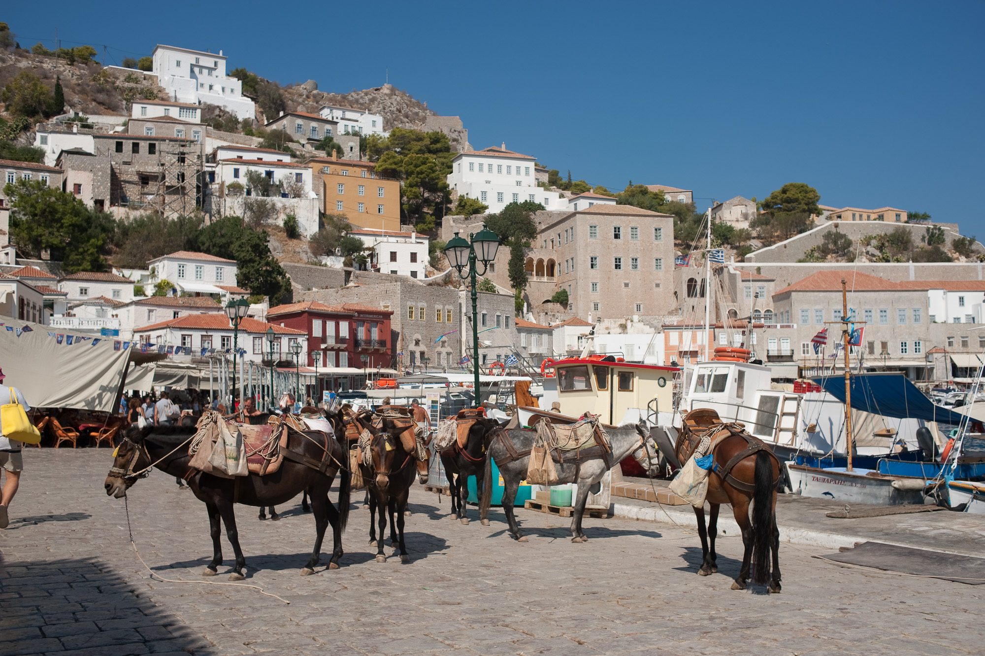 Le port de Hydra. Les mules remplacent les taxis, aussi bien pour les passagers que pour les marchandise.