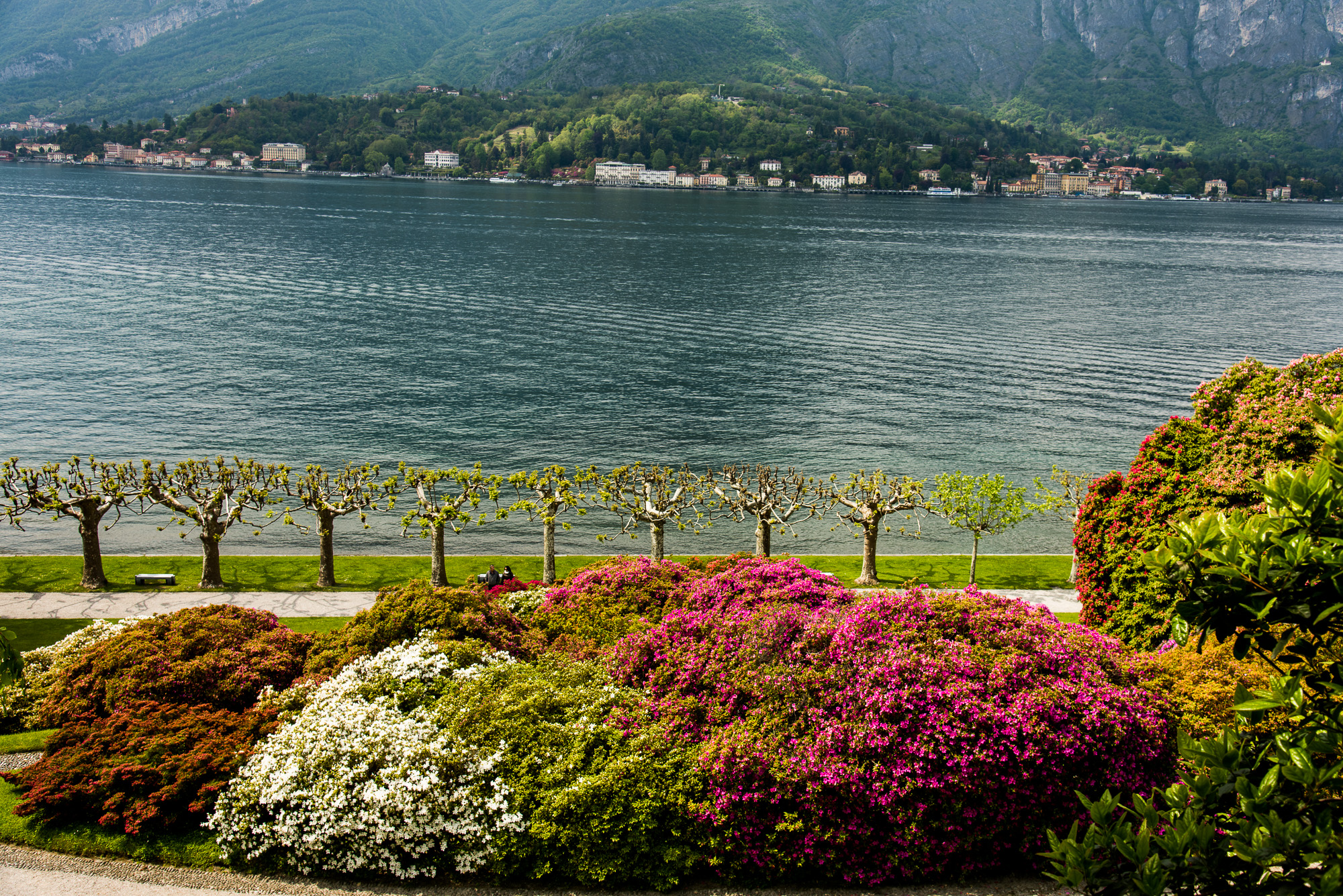 Lac de Côme. Bellagio. Villa et Parc Melzi