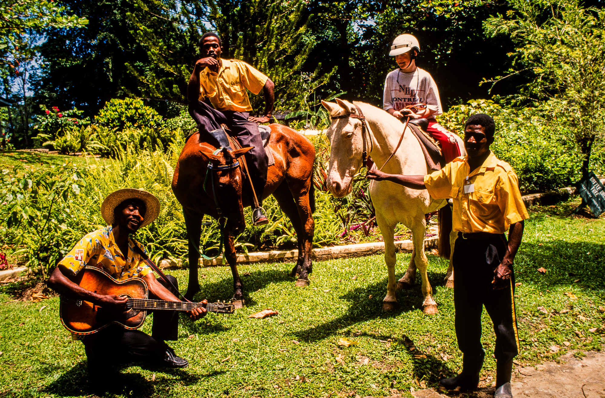 Prospect Plantation. Groupe jouant le calypso, la musique jamaicaine.