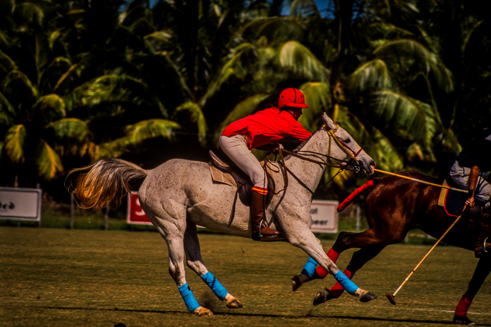 Tournaois annuel de polo à Chukka Cove.