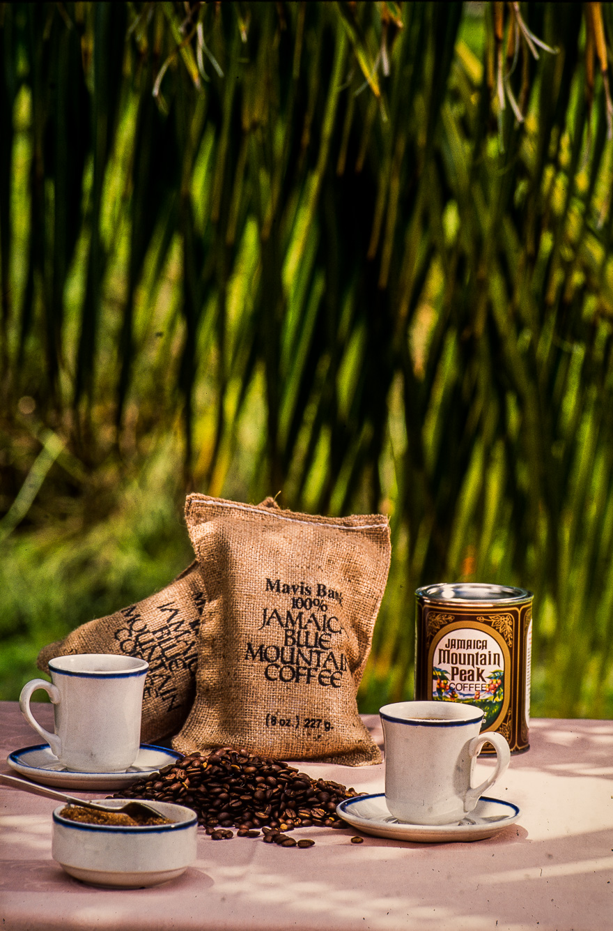 Le café Blue Mountain est considéré comme un des meilleurs au monde.