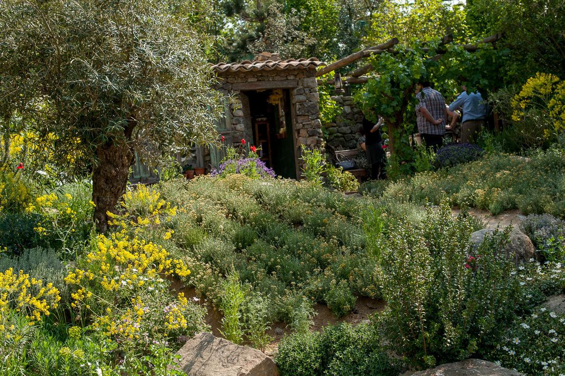 RHS Chelsea Flower Show