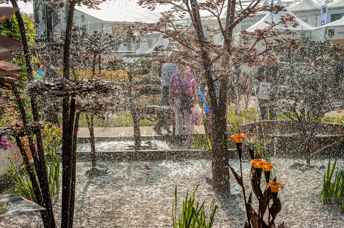 RHS Chelsea Flower Show