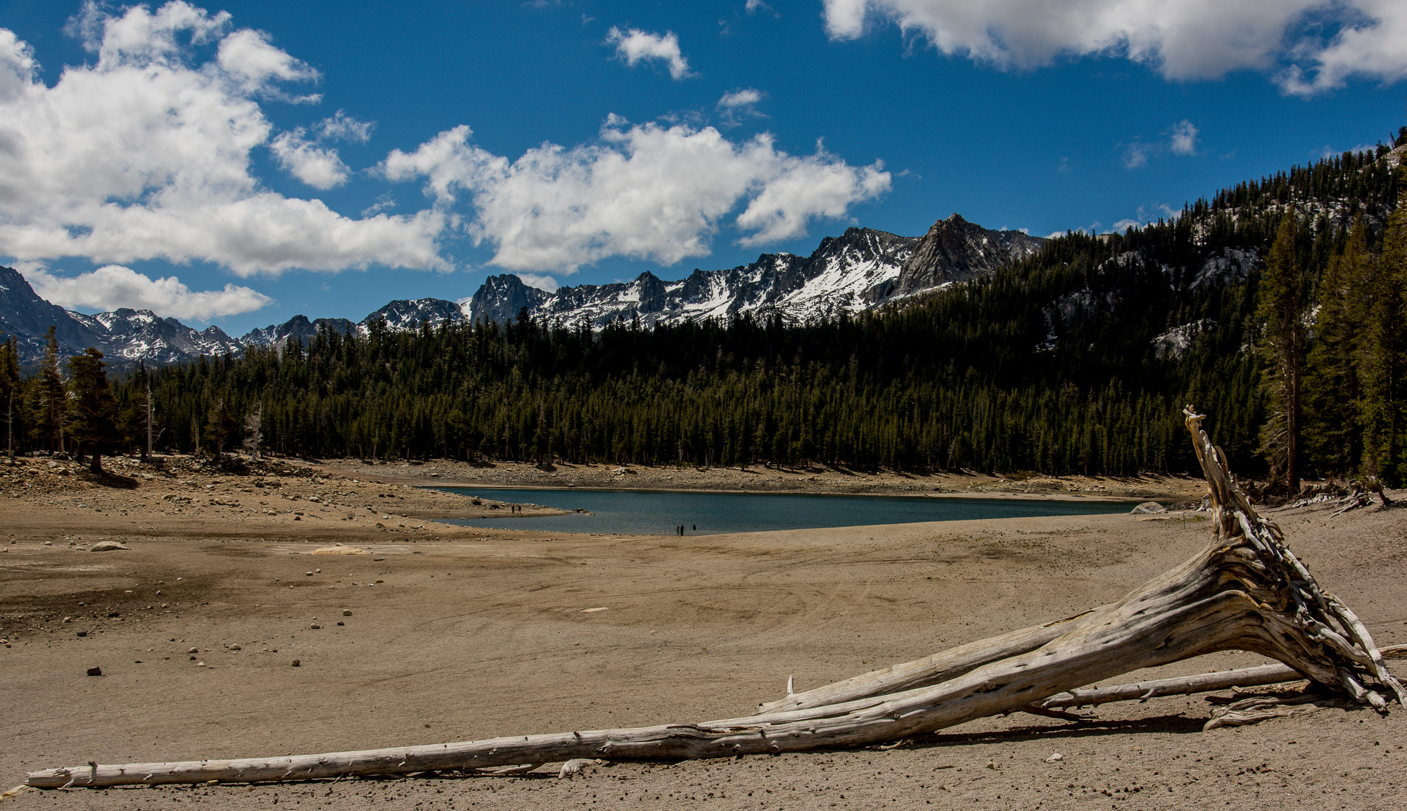 Horse Shoes Lake