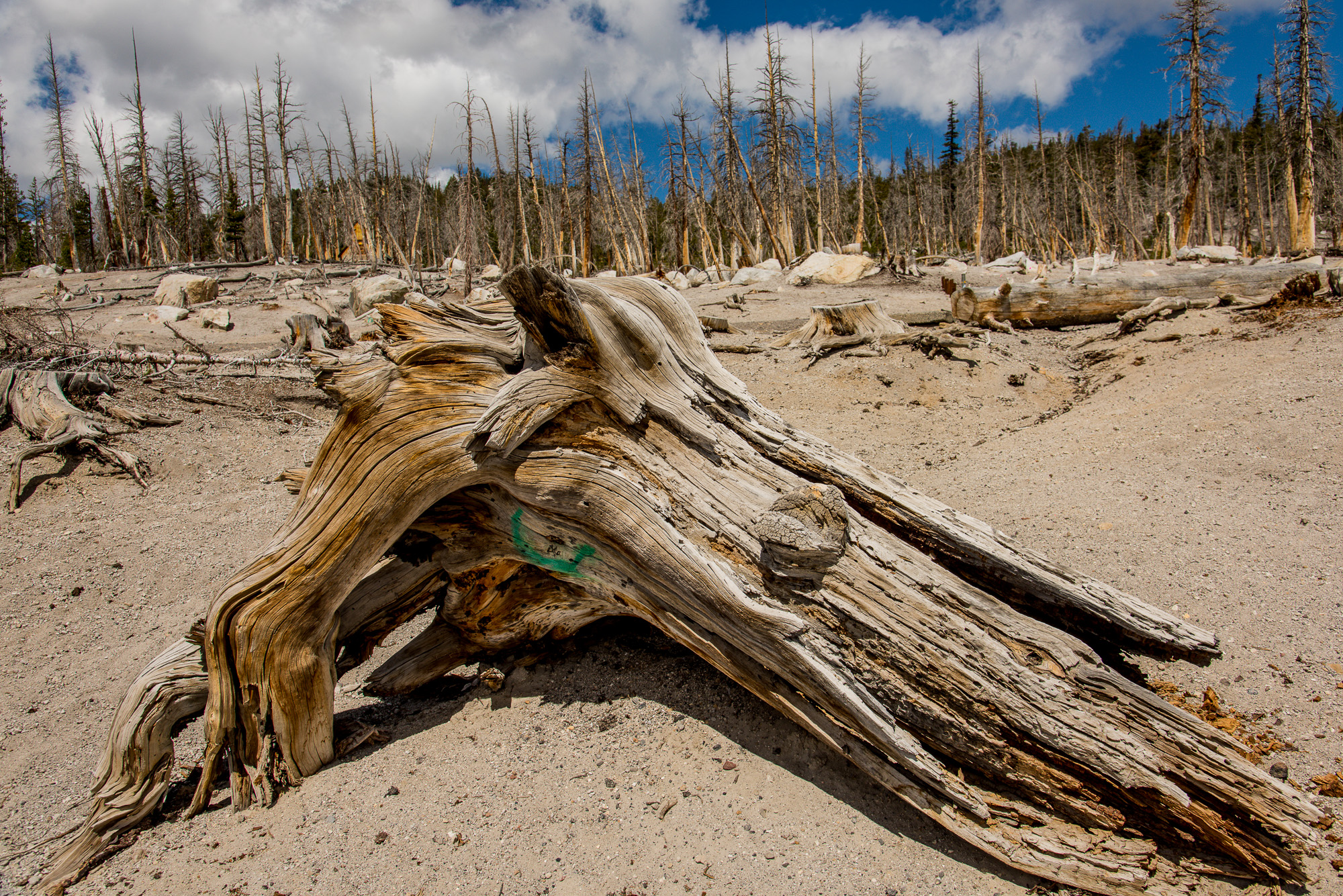 Horse Shoes Lake