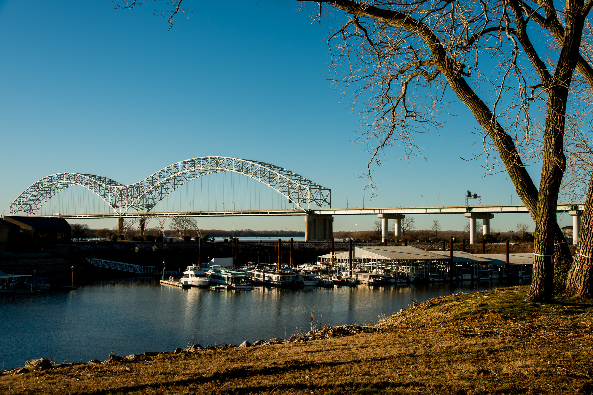 Berges du Mississipi ert Mud island