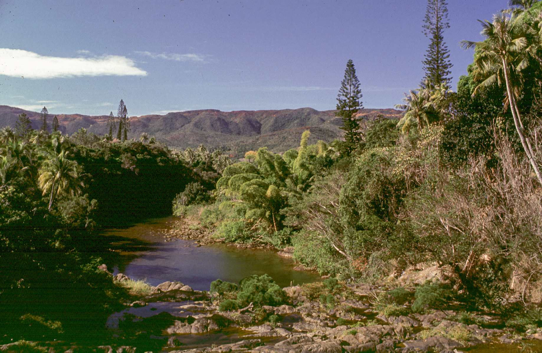 Ponérihouen