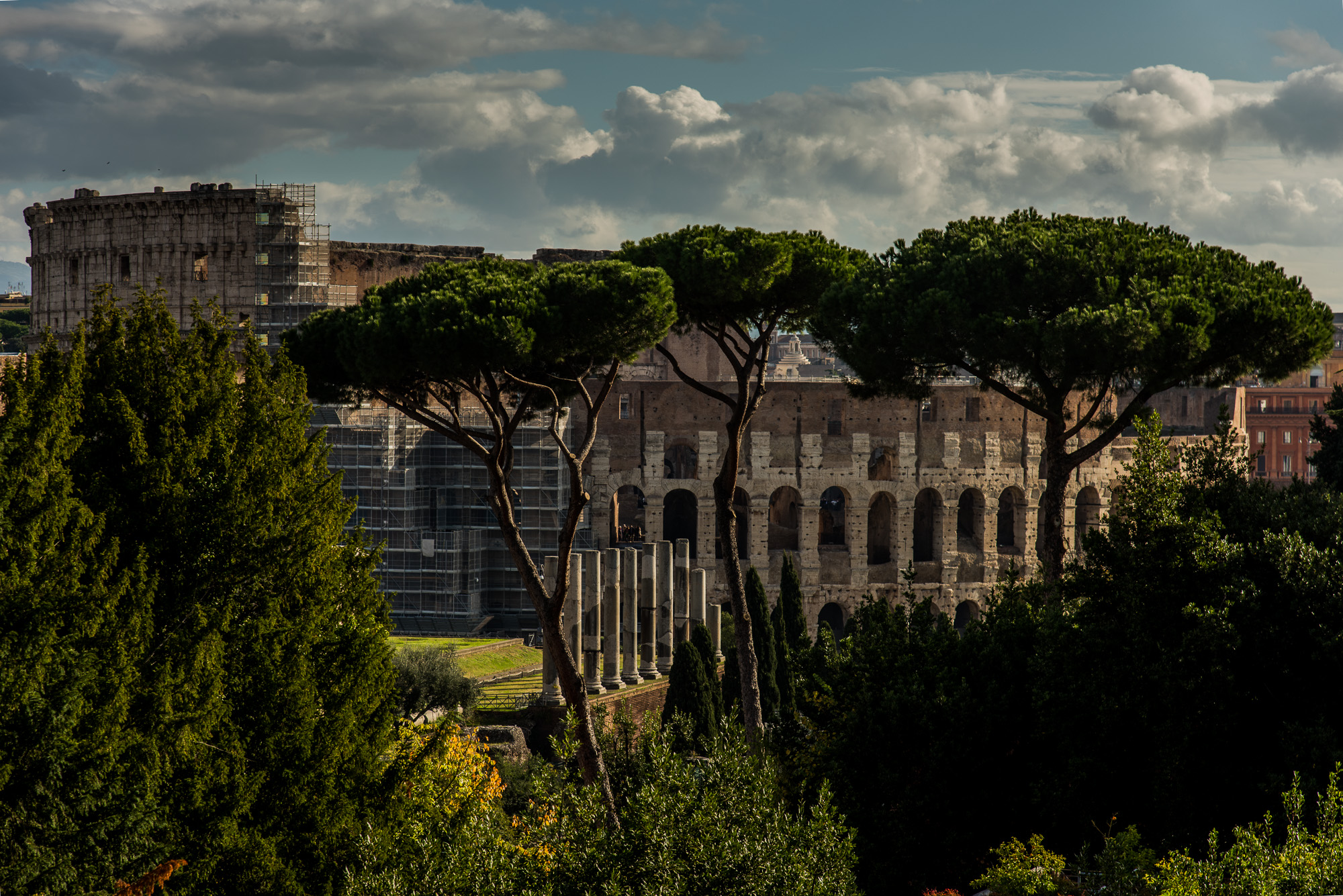 Le Colisée. Vue depuis les Jardins Farnese.