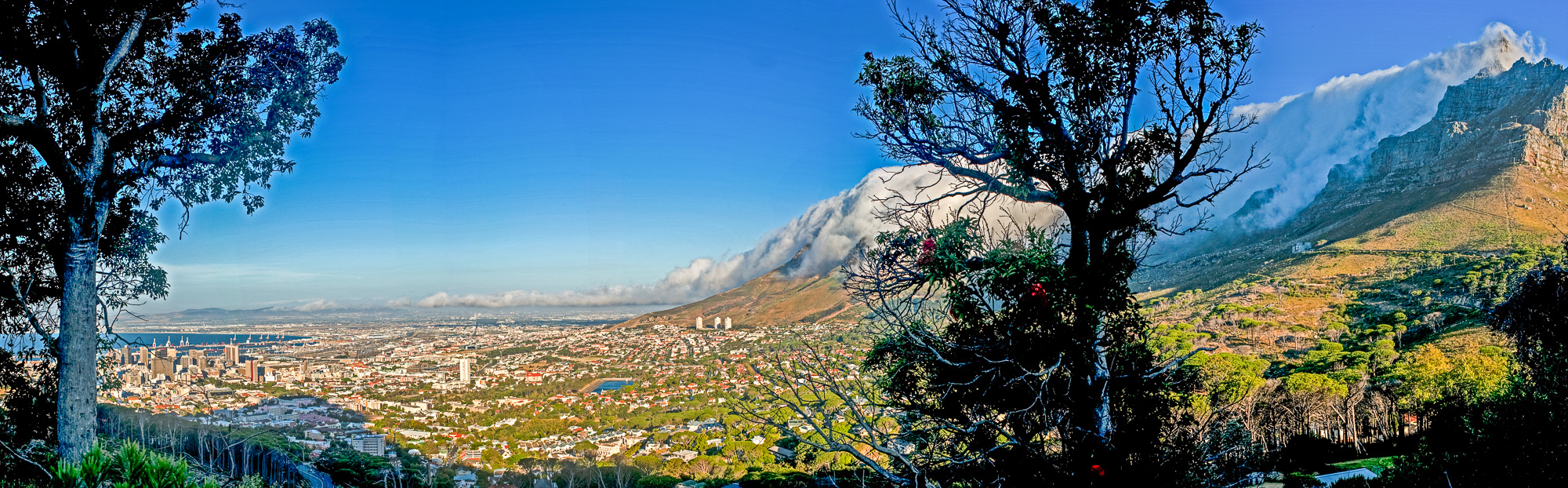 Capetown. Table Mountain recouverte d'un voile de nuage fréquent, appelé "Tablecloth" et la tête de Lion.