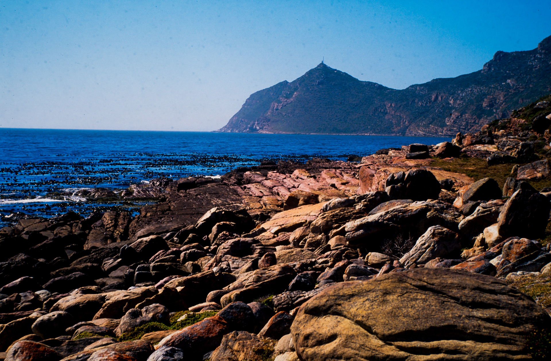 Parc Naturel du Cap de Bonne Espérance - fynbos à Cape Point