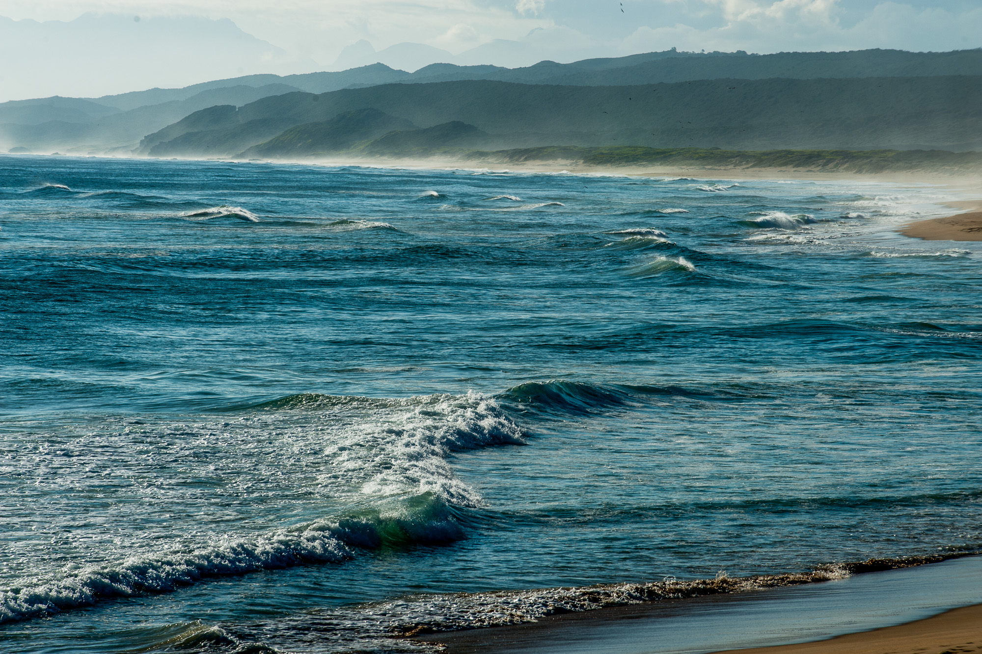 Knysna. Buffalo Bay.