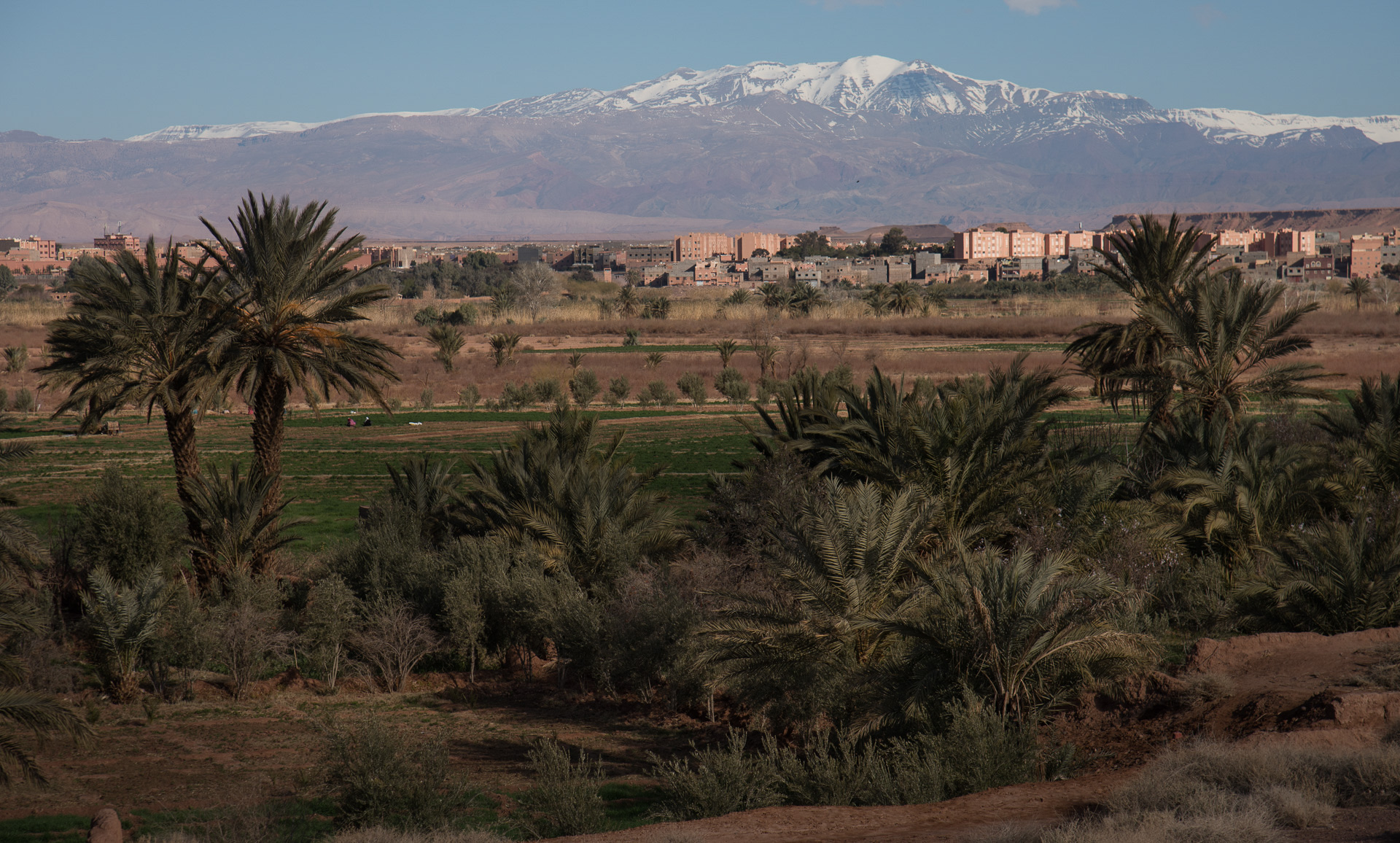 Ouarzazate. Vue depuis la terrasse du Dar Daïf.