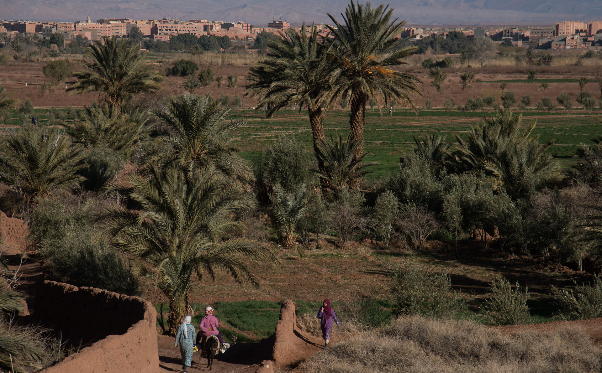 Ouarzazate. Vue depuis la terrasse du Dar Daïf.