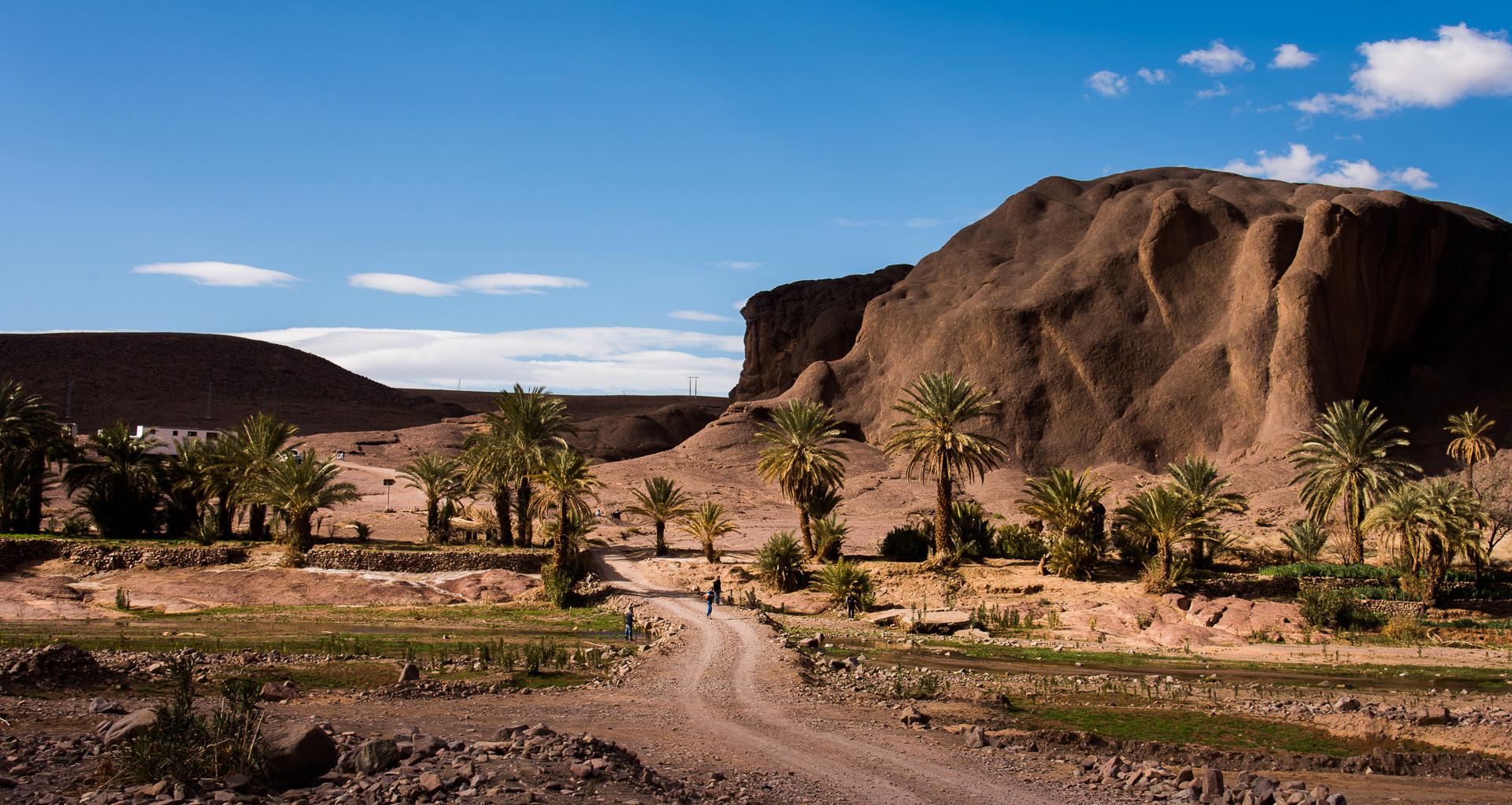Ouarzazate. Oasis de Fint