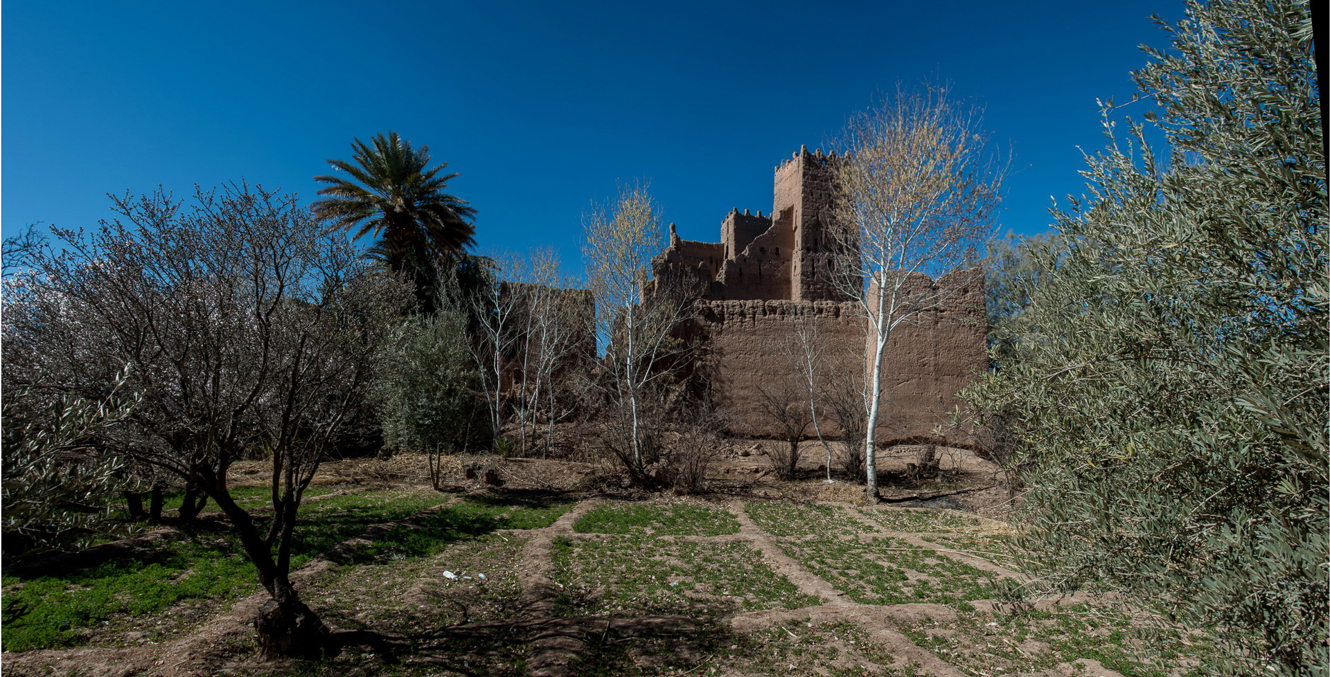 El Kelaa des M'Gouna. Vallée des Roses.