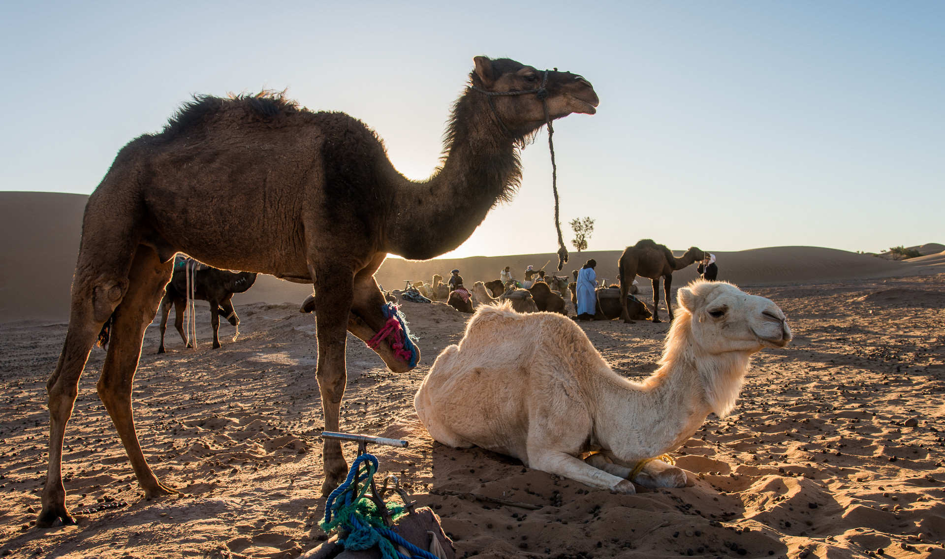 Ouled Driss. Aux portes du désert. Campement bivouac pour une nuit.