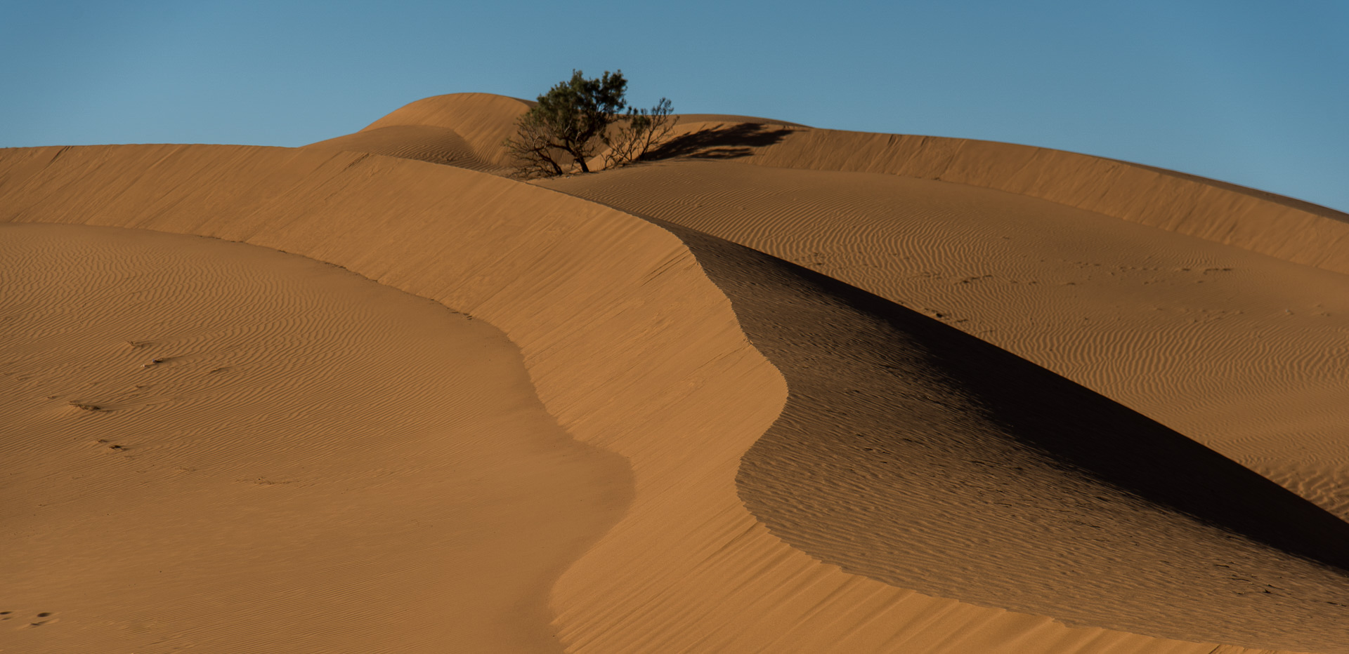 Ouled Driss. Aux portes du désert.