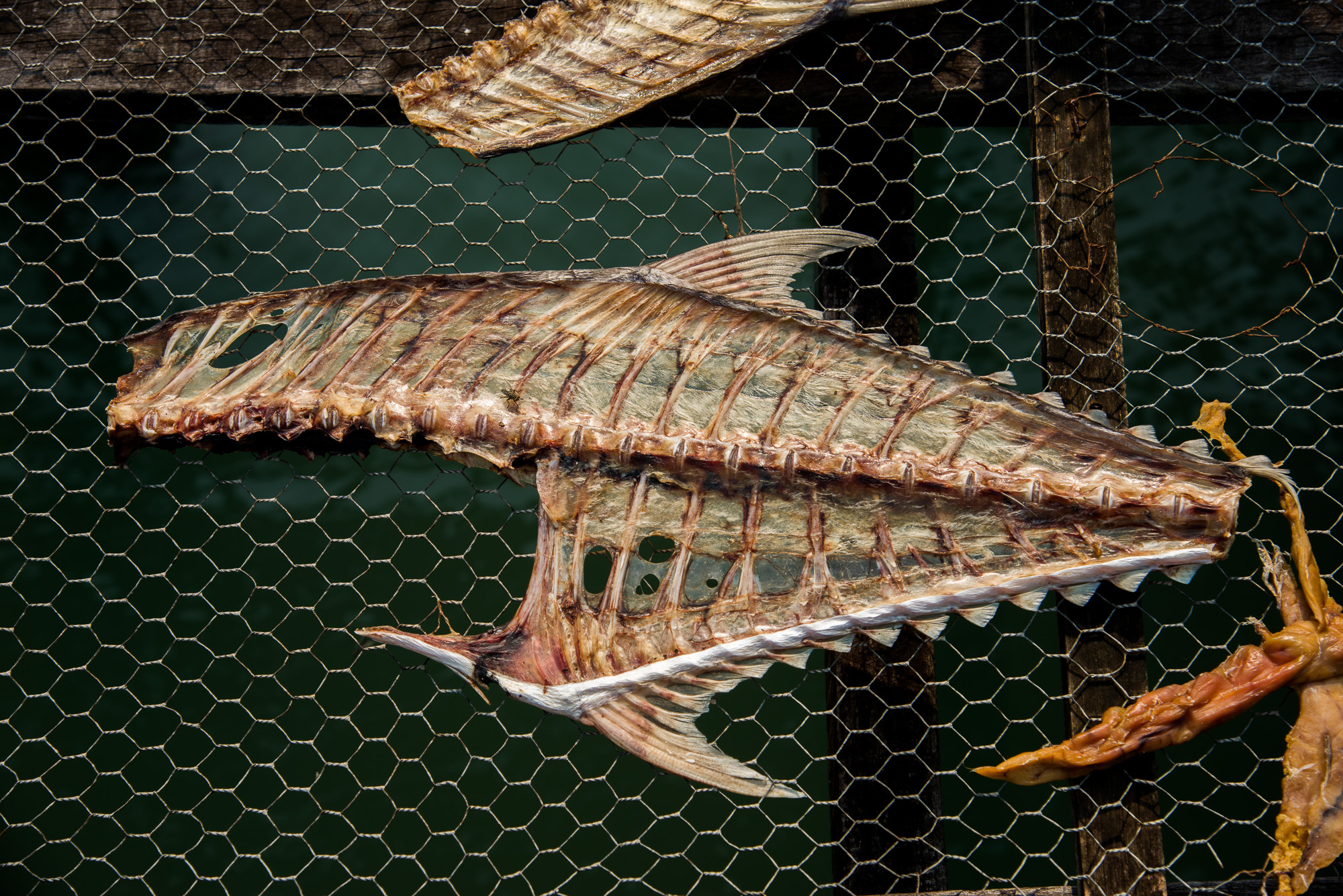 Ban Salak Kok.Ponton des pêcheurs où les poissons sont exposés en plein soleil pour une meilleure conservation.