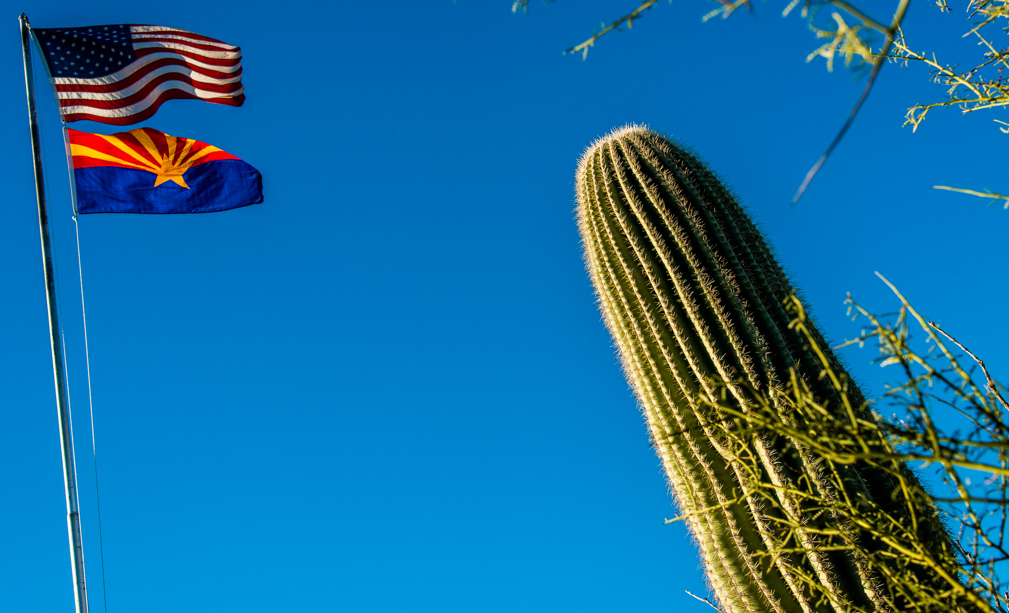 Saguaro National Park