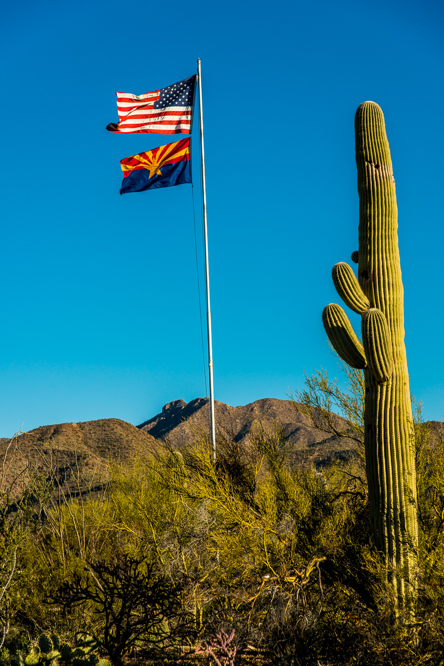 Saguaro National Park