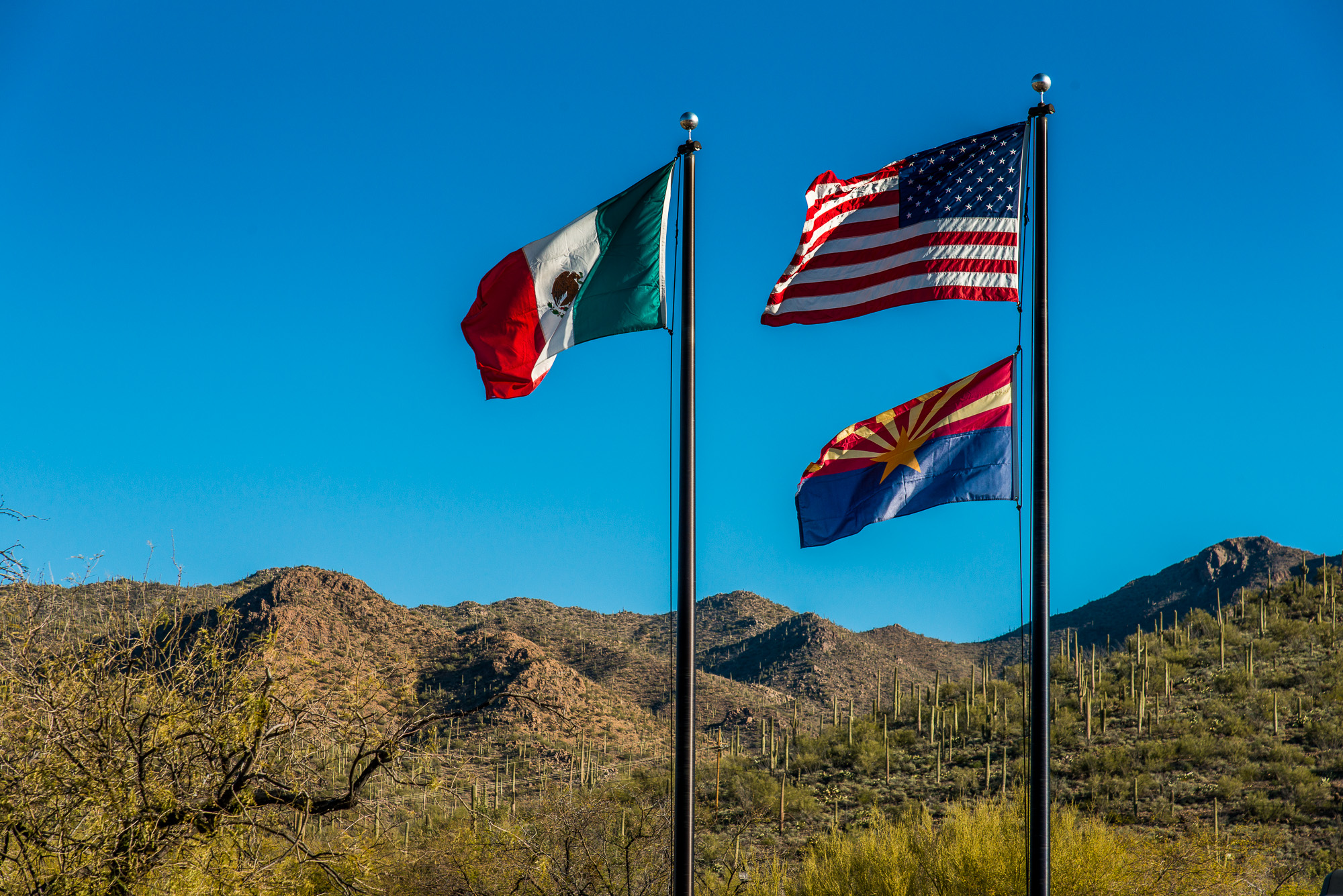 Saguaro National Park