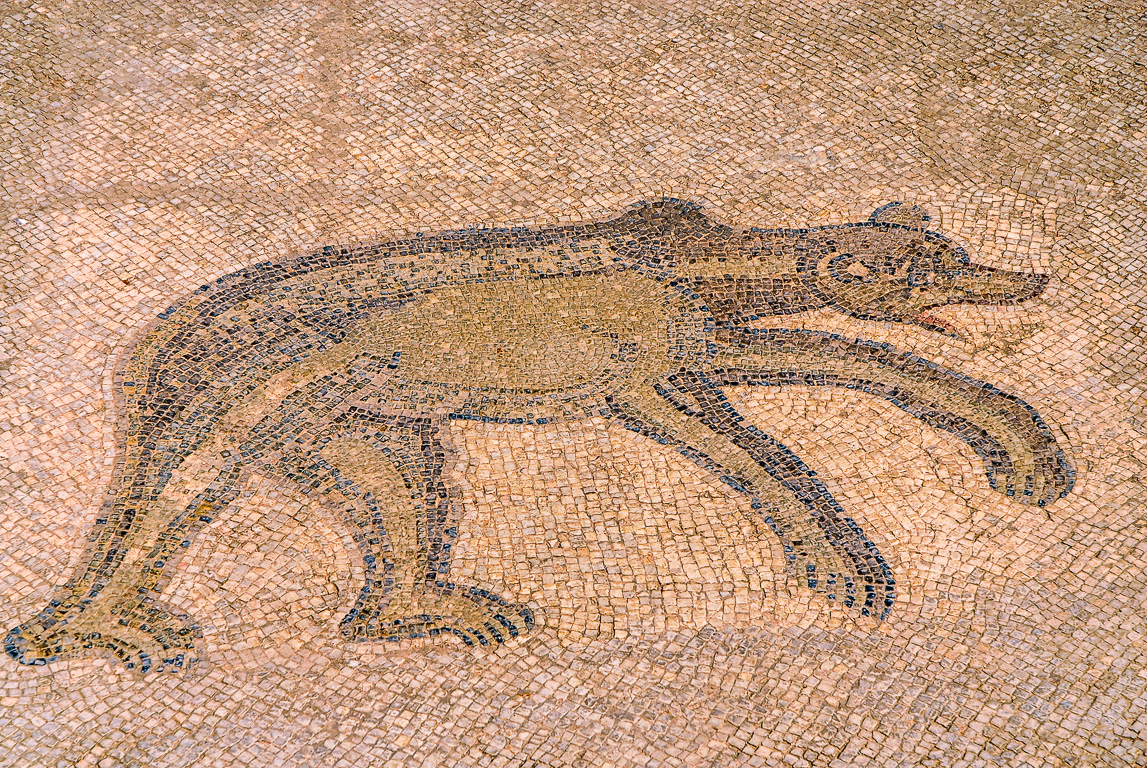 Théatre antique romain : ours en mosaïques