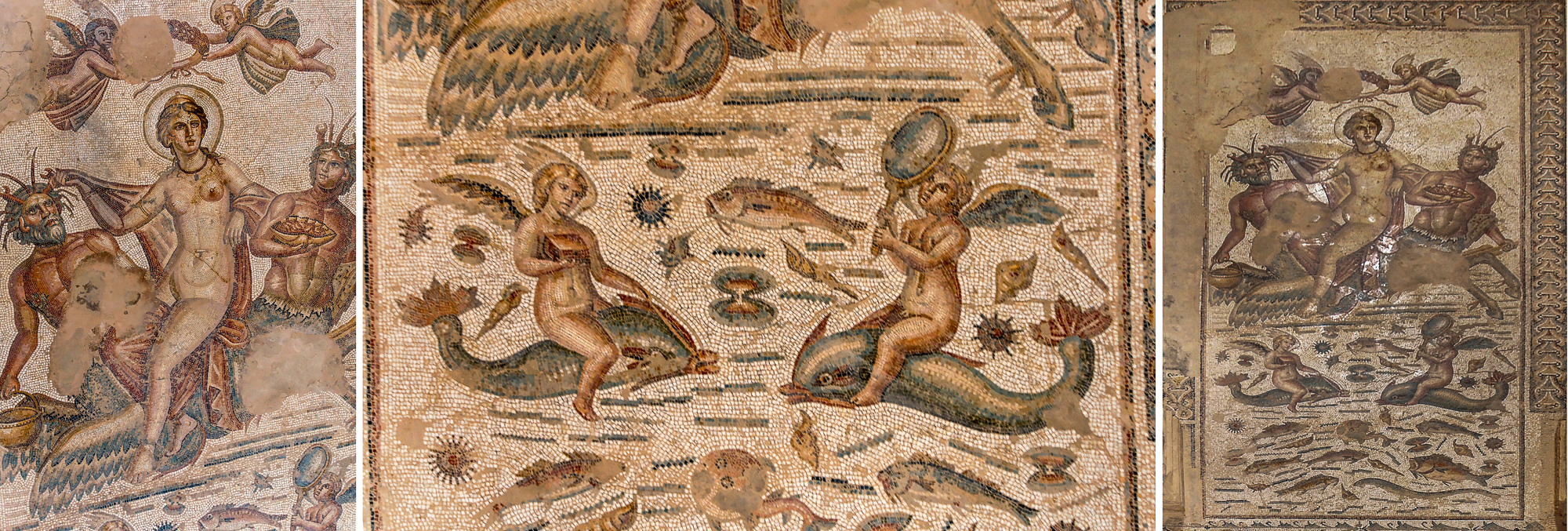 Maison de Venus Marine, mosaïques.