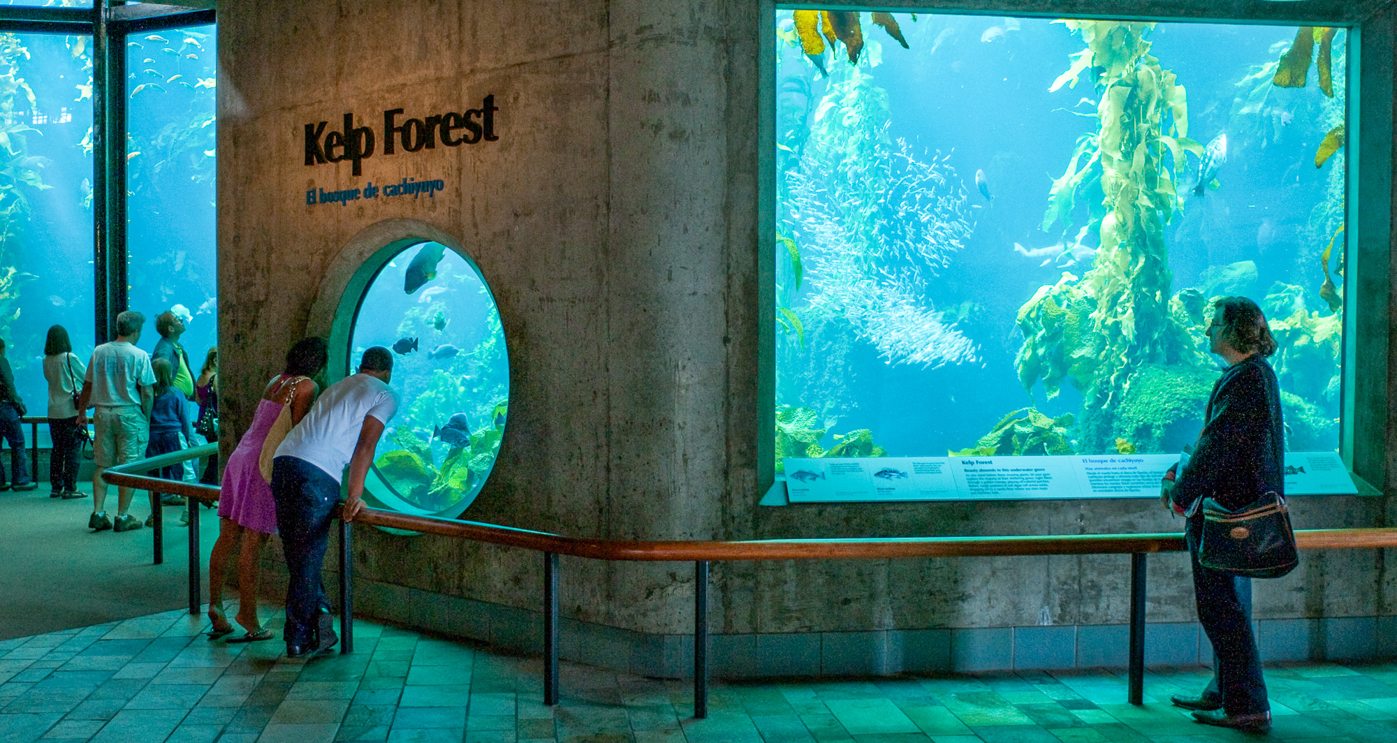 Monterey Bay Aquarium 886, Cannery Road.