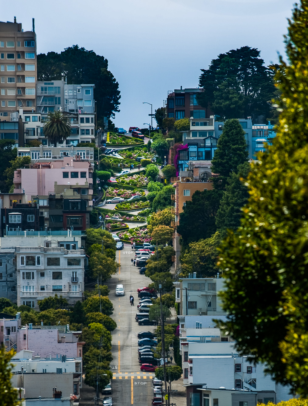 Lombard Street et ses lacets bordés de fleurs.