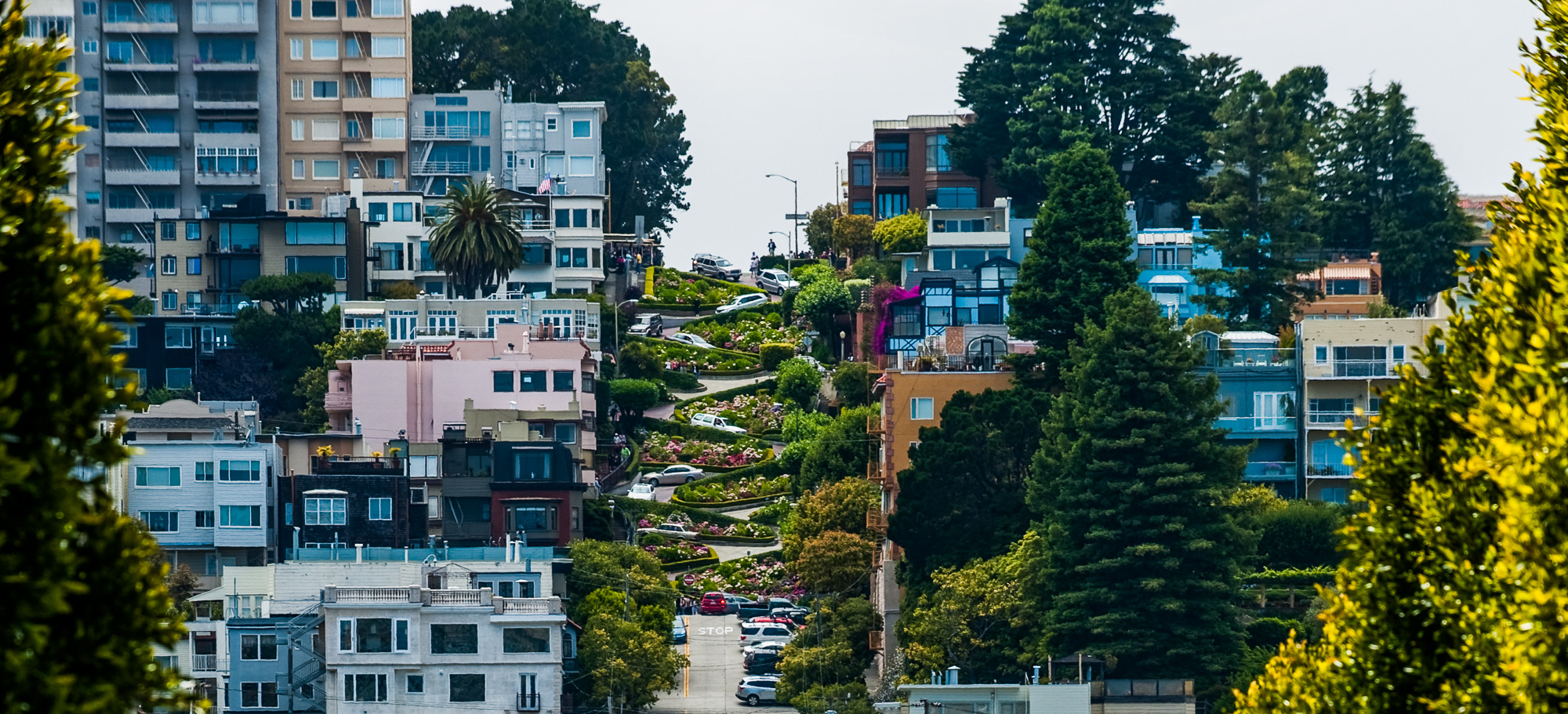 Lombard Street et ses lacets bordés de fleurs.