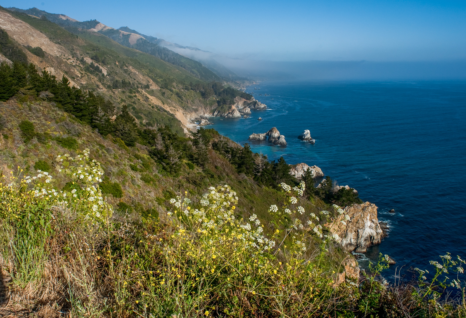 Pfeiffer Beach.