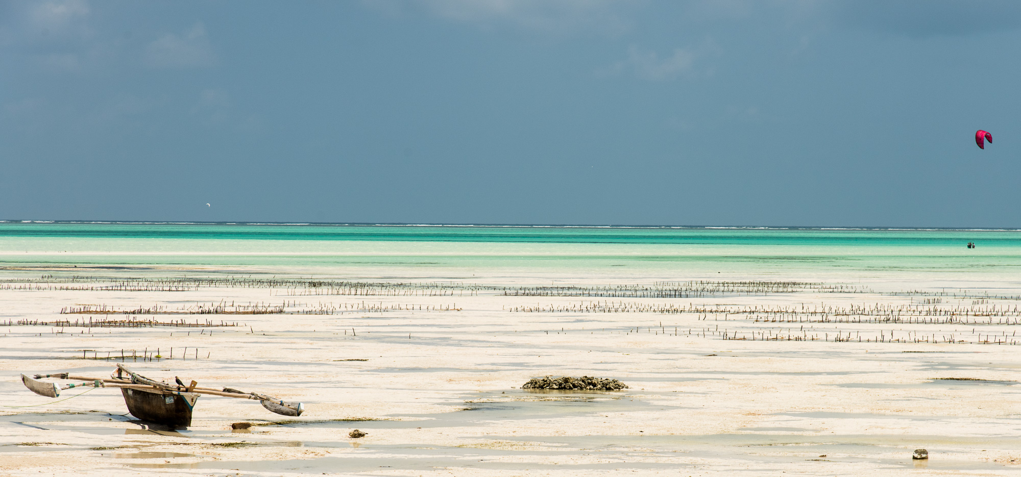 Jambiani.  Pirogues à balancier, essentiellement utilisées dans le lagon pour la pêche à la ligne.