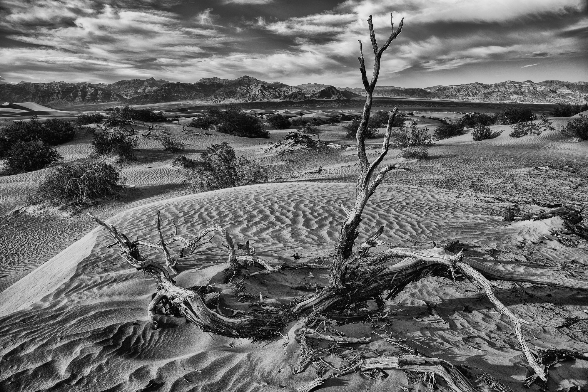 Stovepipe Wells. Mesquite Flat Sand Dunes.