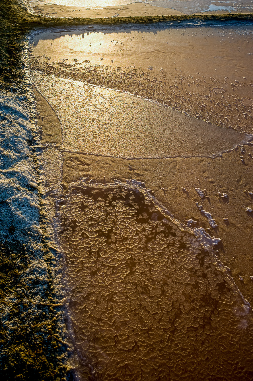 Île de Ré - Ars-en-Ré et presqu'île de Loix. La "fleur de sel" sur les marais salants.