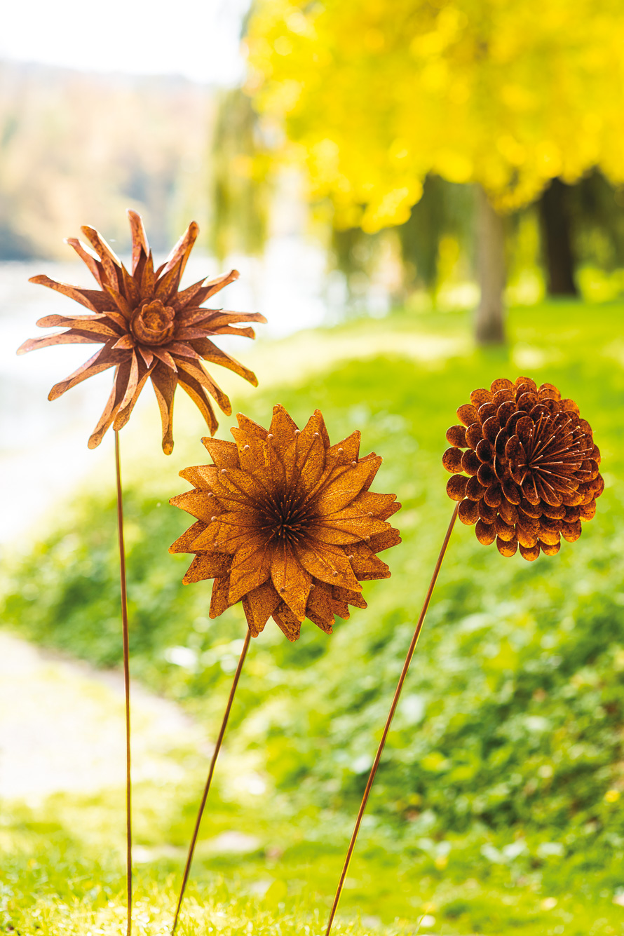 Fleurs rouillées des Doigtsfleuris.