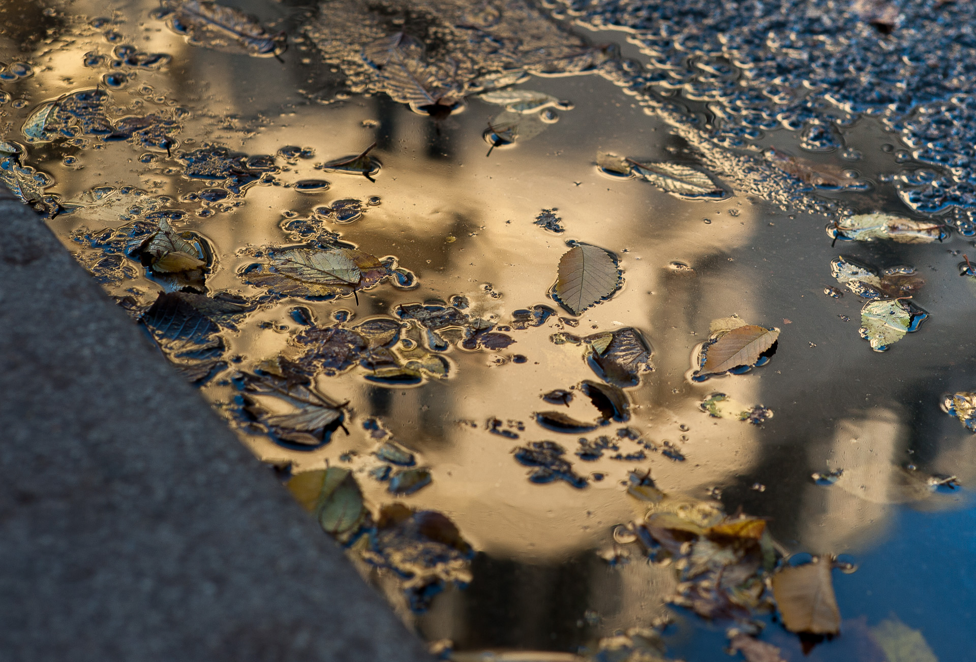 Une flaque d'eau , 14ème arrondissement.