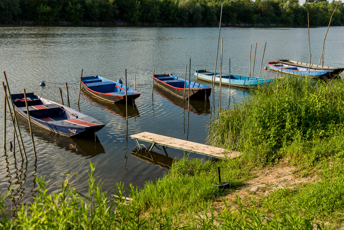 Angers, promenade Reculée (vers l''île Saint-Aubin). Barques traditionnellees sur la rivière Maine.