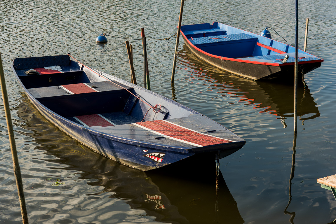 Angers, promenade Reculée (vers l''île Saint-Aubin). Barques traditionnellees sur la rivière Maine.
