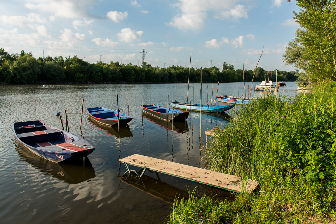 Angers, promenade Reculée (vers l''île Saint-Aubin). Barques traditionnellees sur la rivière Maine.