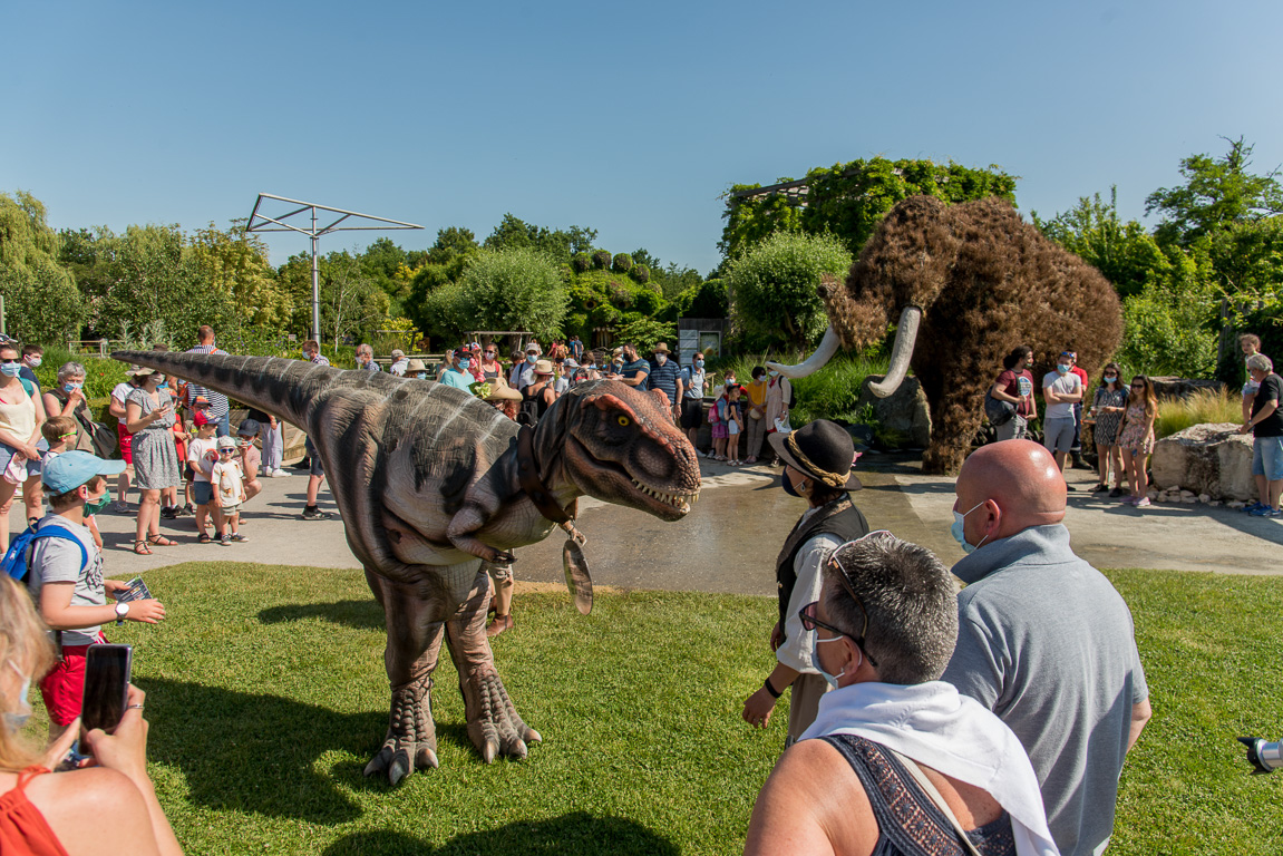 Angers, le Parc Terra-Botanica.. "Les Racines de la vie," reconstitution avec la végétation de cette période terrestre. Le terranosaure est de sortie.