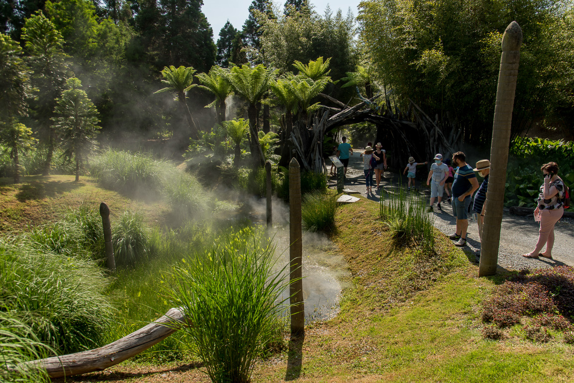 Angers, le Parc Terra-Botanica.. "Les Racines de la vie," reconstitution avec la végétation de cette période terrestre.