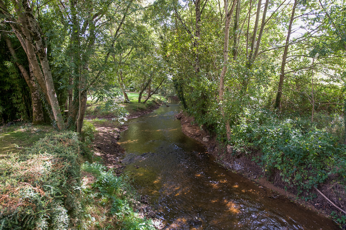 16110 Rancogne, Moulin de la Forge.