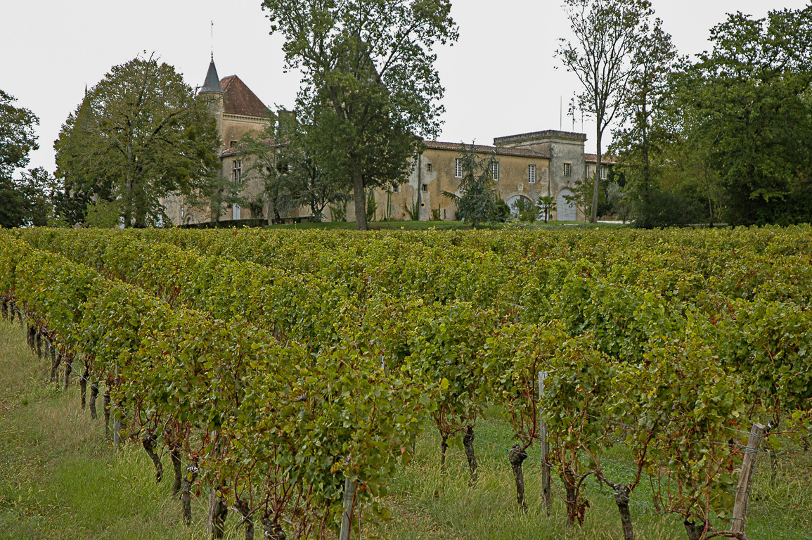 33210 Langon  Saint-André-du-Bois - Château Malrome - ancienne demeure de Toulouse Lautrec