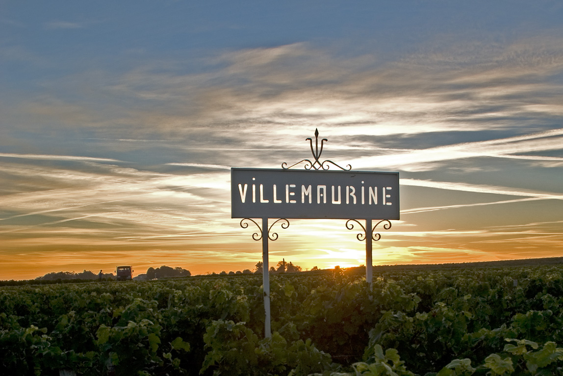 33330 Saint Emilion - vignoble Villemaurine