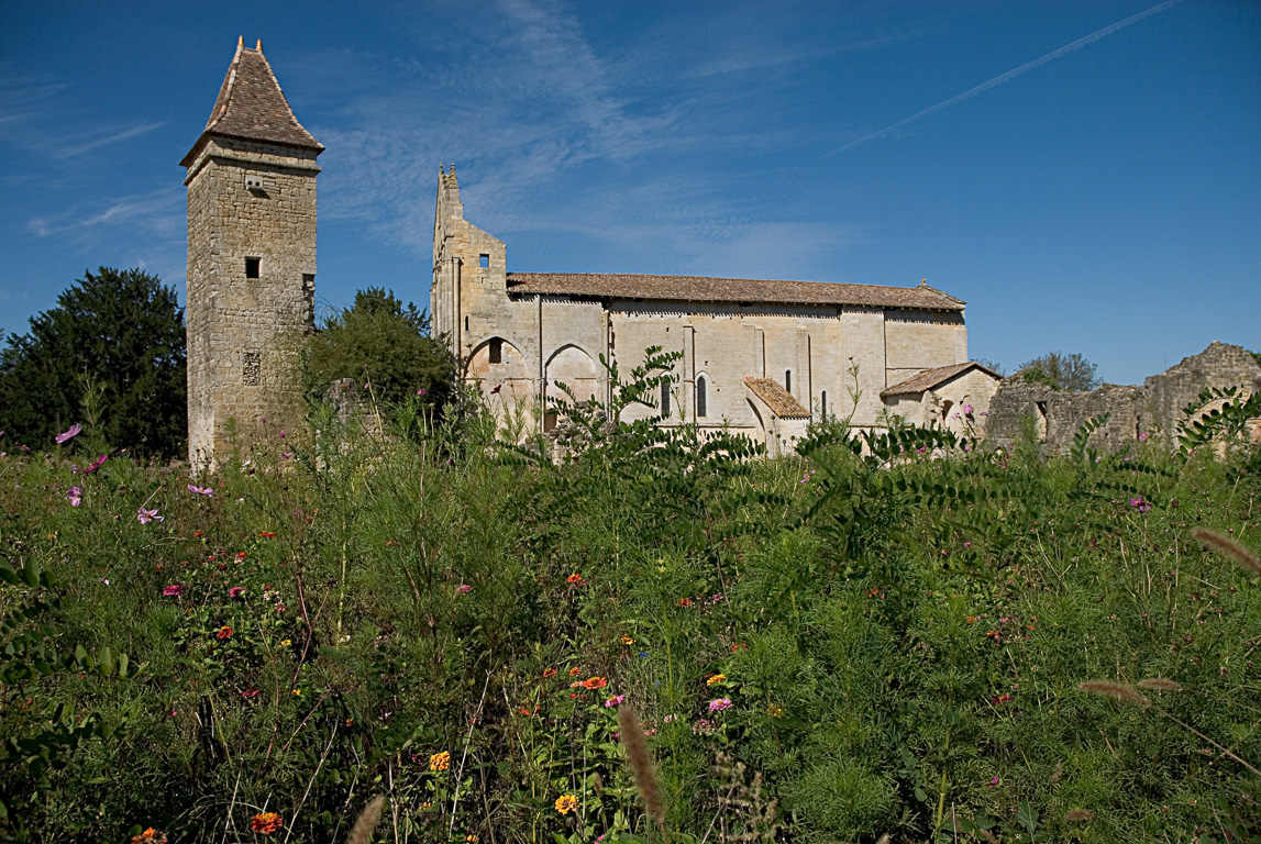33540 - Blasimon - L'abbaye et sa jachere fleurie