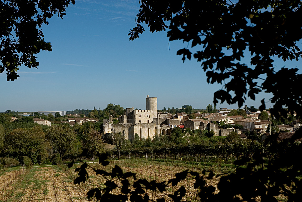 33420 - Rauzan, Château du 12ème siecle