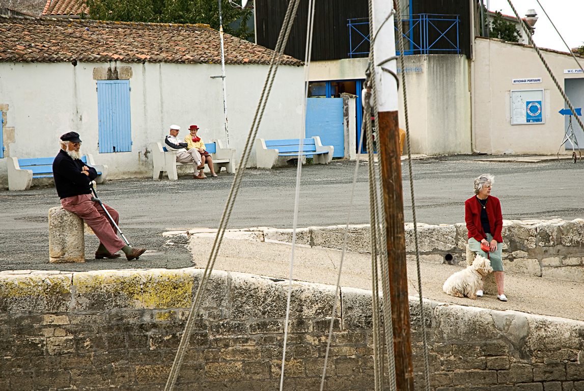 17113 - Mornac-sur-Seudre.  Le port ostreicole