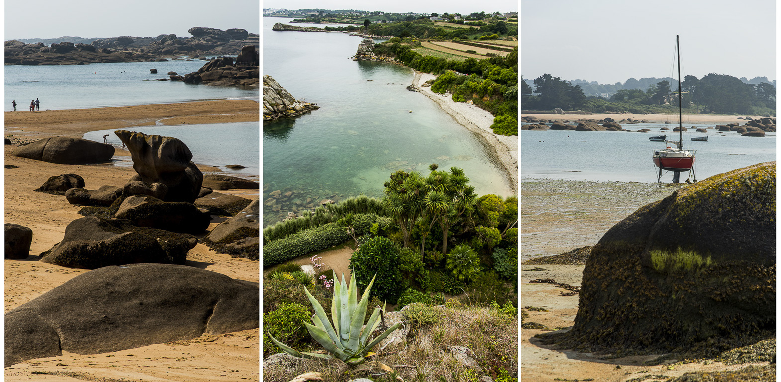 Trégastel. l'Île Renote.